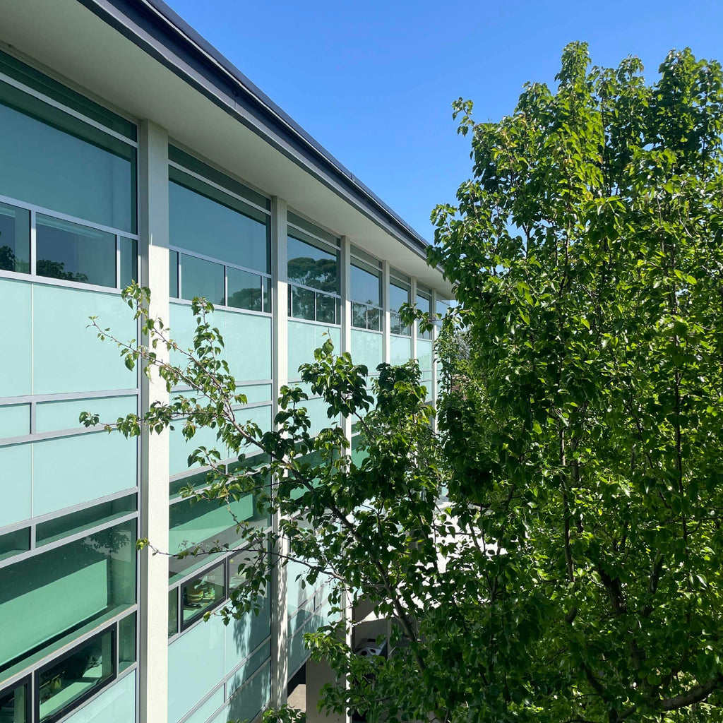 Modern school building with large glass windows and trees in the foreground
